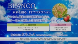 blanco.jpg