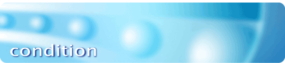 condition-img.gif